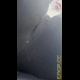 A close-up of Miss Marilyn's grey sweatpants. No pooping shown. Presented in 720P vertical HD format. About half a minute.